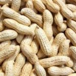 How To Start Groundnut Farming in Nigeria